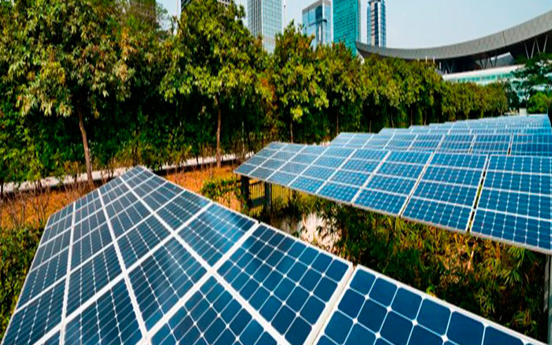 Sustentabilidade Empresarial2 - Contabilidade em Monte Alto - SP | Contec Assessoria