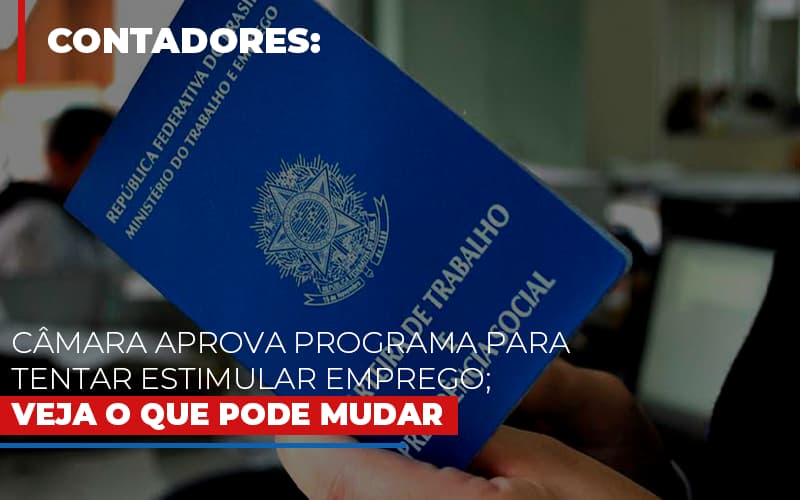 Camara Aprova Programa Para Tentar Estimular Emprego Veja O Que Pode Mudar Blog Contabilidade Em Monte Alto Sp | Contec Assessoria - Contabilidade em Monte Alto - SP | Contec Assessoria