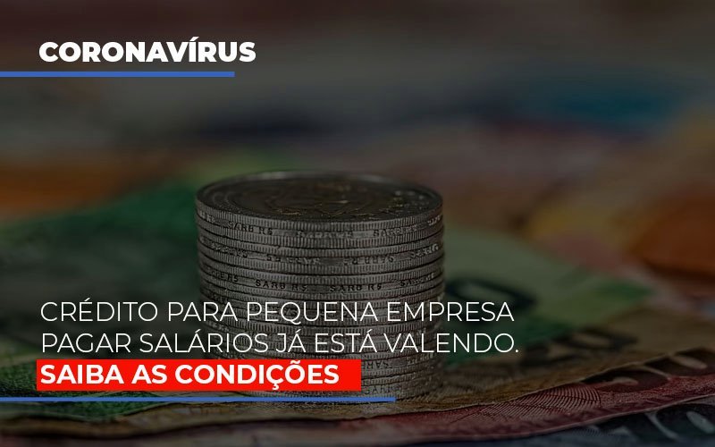 Credito Para Pequena Empresa Pagar Salarios Ja Esta Valendo Blog Contabilidade Em Monte Alto Sp | Contec Assessoria - Contabilidade em Monte Alto - SP | Contec Assessoria