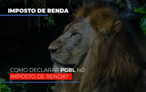 Ir2020:como Declarar Pgbl No Imposto De Renda Blog Contabilidade Em Monte Alto Sp | Contec Assessoria - Contabilidade em Monte Alto - SP | Contec Assessoria