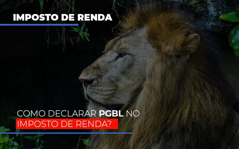 Ir2020:como Declarar Pgbl No Imposto De Renda Blog Contabilidade Em Monte Alto Sp | Contec Assessoria - Contabilidade em Monte Alto - SP | Contec Assessoria