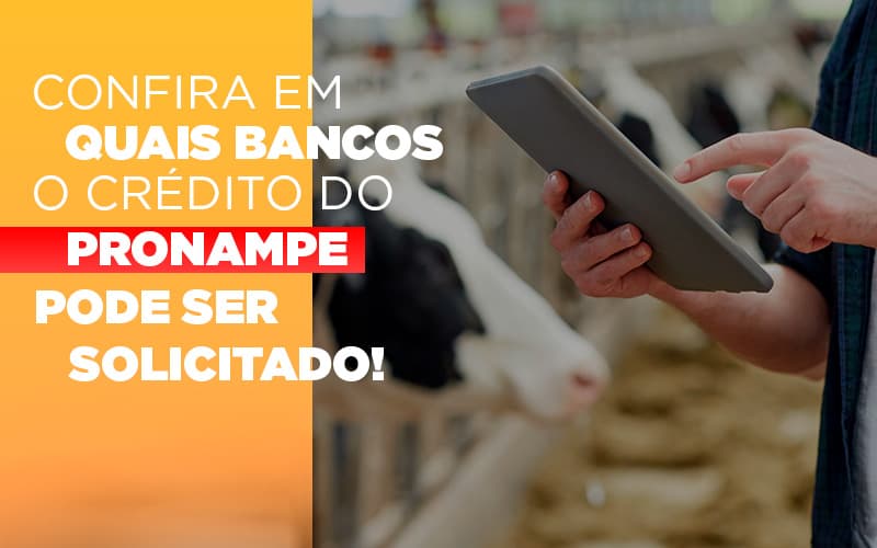 Confira Em Quais Bancos O Credito Pronampe Ja Pode Ser Solicitado - Contabilidade em Monte Alto - SP | Contec Assessoria