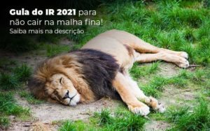 Guia Ir 2021 Para Nao Cair Na Malha Fina Saiba Mais Na Descricao Post (1) Quero Montar Uma Empresa - Contabilidade em Monte Alto - SP | Contec Assessoria