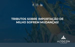 Tributos Sobre Importação De Milho Sofrem Mudanças! Altocon (1) - Contabilidade em Monte Alto - SP | Altocon Contabilidade